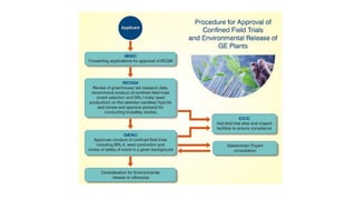 Rcgm Guidelines.pdf ROLE OF IBSC,RCGM,GEAC FOR GMO APPLICATION IN FOOD AND AGRICULTURE.pptx