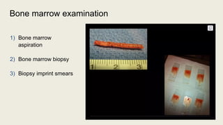 ROLE OF IHC IN BMB in pathology wwe.pptx