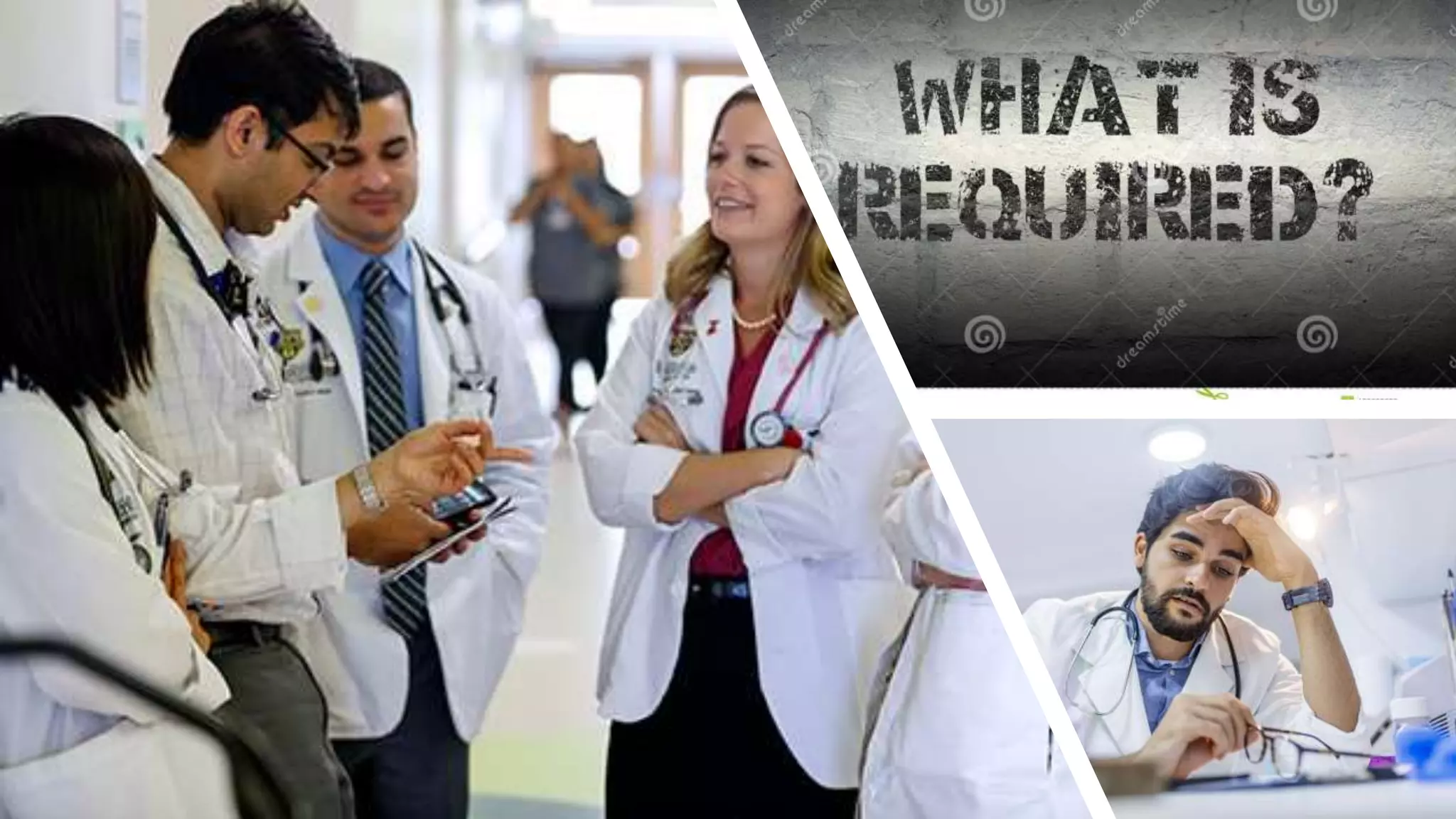 ROLES OF INDIAN MEDICAL GRADUATE 2021