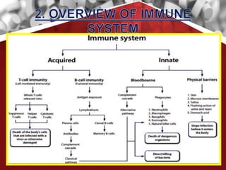 Role of immunomodulators in oral diseases | PPTX