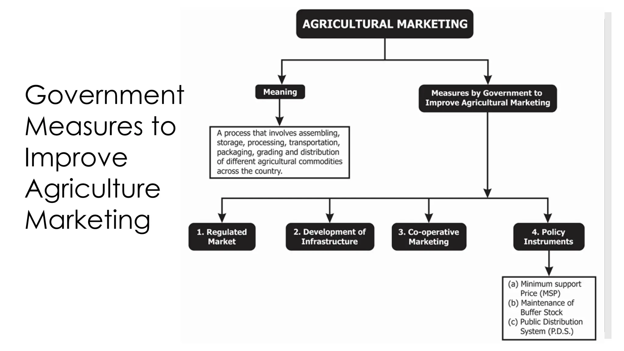 Role of Indian Government in Rural and Agricultural marketing.pdf