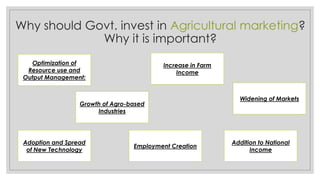 Role of Indian Government in Rural and Agricultural marketing.pdf