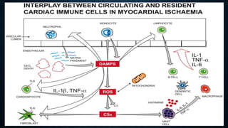 Role of inflamation in coronary artery disease | PPTX