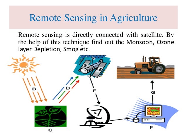 Role of information technology - Role Of Information Technology In Agriculture 16 638