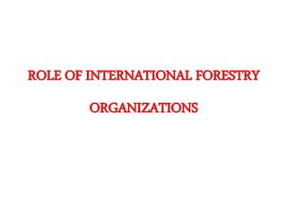 ROLE OF INTERNATIONAL FORESTRY
ORGANIZATIONS
 