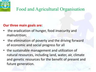 Role of international_organisation_in_rural_development | PPTX