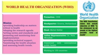 Role of international organization in development | PPT