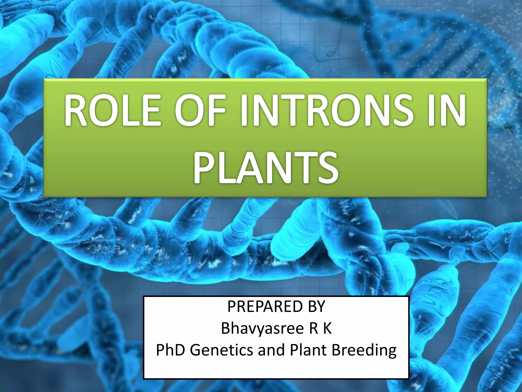 Role of introns in plants | PPTX