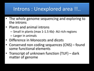 Role of introns in plants | PPTX