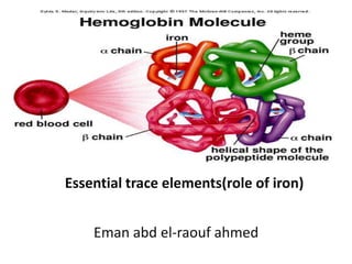 Essential trace elements(role of iron)
Eman abd el-raouf ahmed
 