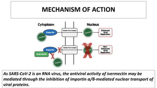 MECHANISM OF ACTION
As SARS-CoV-2 is an RNA virus, the antiviral activity of ivermectin may be
mediated through the inhibition of importin α/β-mediated nuclear transport of
viral proteins.
 