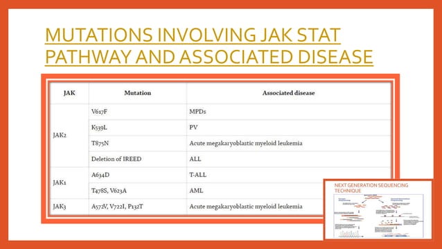 Role of jak stat pathway in cancer signalling | PPTX | Genetics | Science