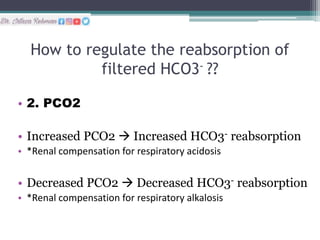 Role of kidneys in regulation of Acid Base.pptx