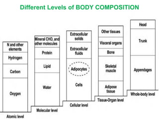Role of kinanthropometry in sports .pdf. | PDF