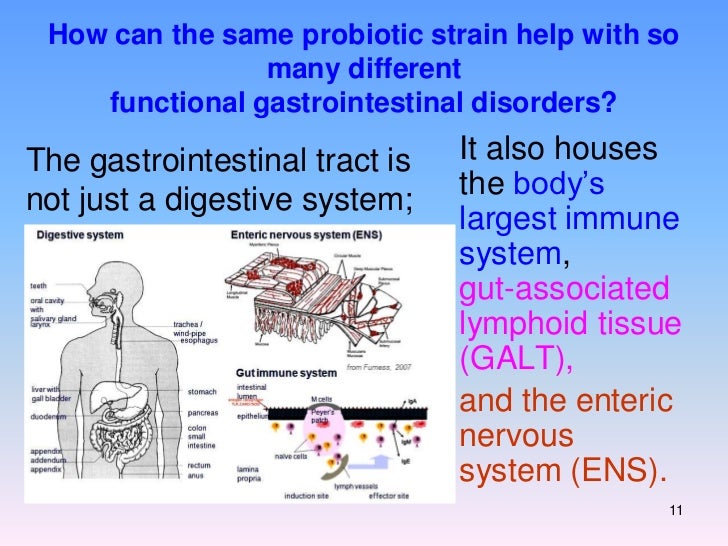 Role of l. reuteri in colic & easy digestion comfortable Role of l. reuteri in colic & easy digestion comfortable