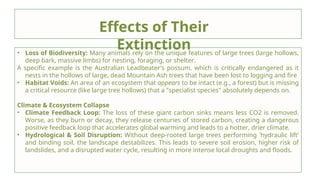 Role of Large Trees in Maintaining Terrestrial Ecosystem Functions and ...