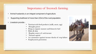 Role of livestock in national economy | PDF