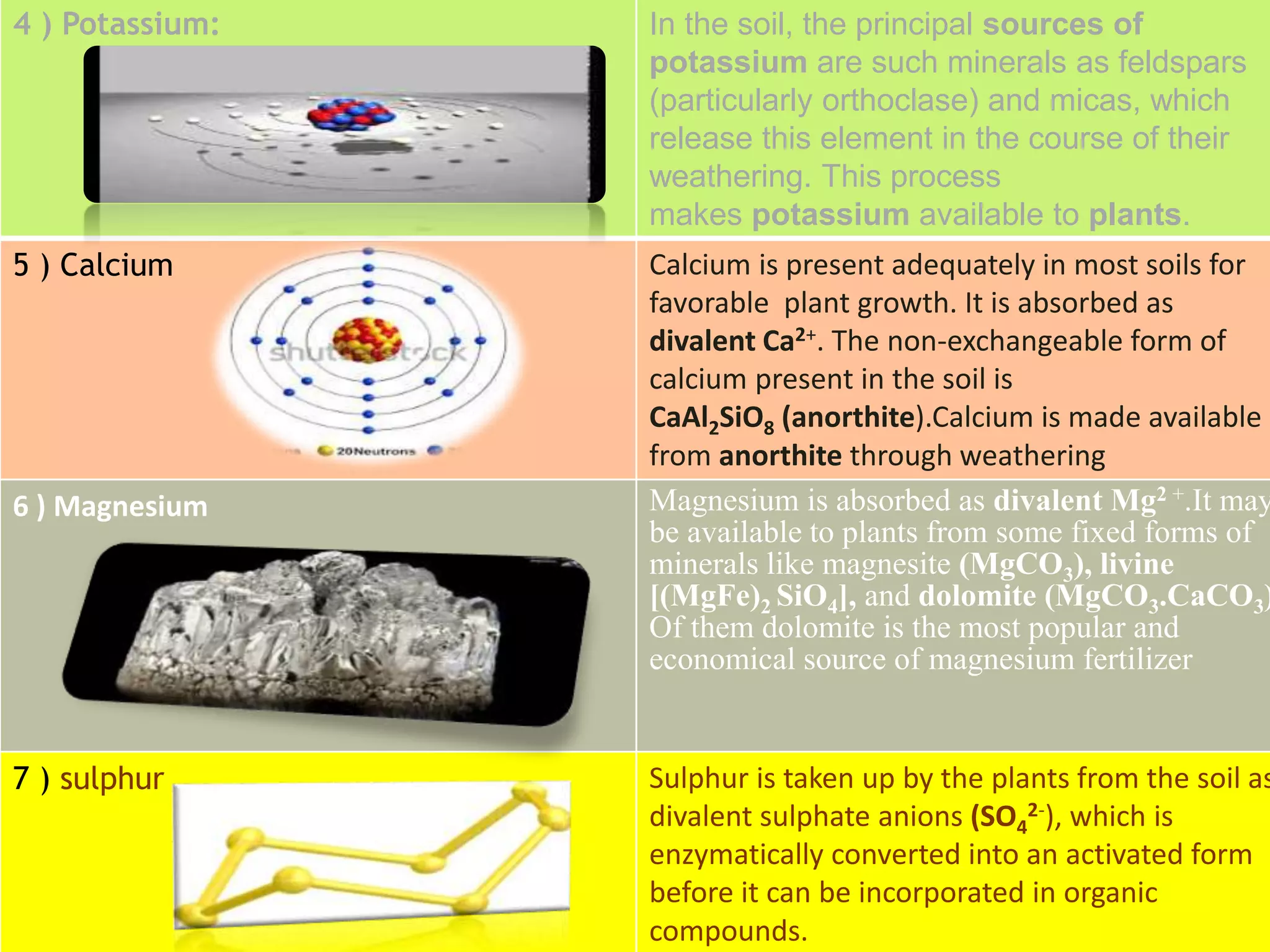Role of macronutrients in plants | PPTX