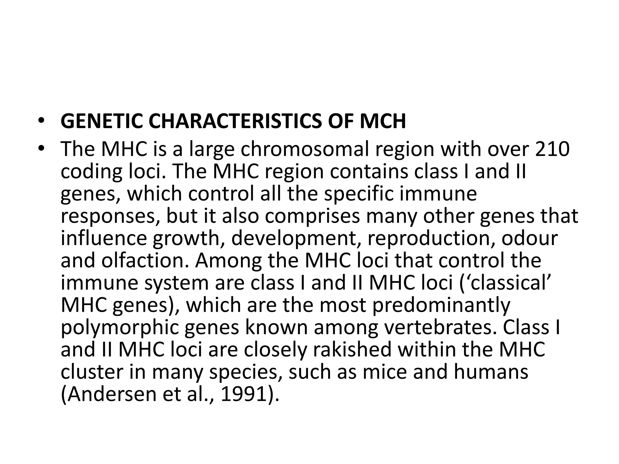 • GENETIC CHARACTERISTICS OF MCH
• The MHC is a large chromosomal region with over 210
coding loci. The MHC region contains class I and II
genes, which control all the specific immune
responses, but it also comprises many other genes that
influence growth, development, reproduction, odour
and olfaction. Among the MHC loci that control the
immune system are class I and II MHC loci (‘classical’
MHC genes), which are the most predominantly
polymorphic genes known among vertebrates. Class I
and II MHC loci are closely rakished within the MHC
cluster in many species, such as mice and humans
(Andersen et al., 1991).
 