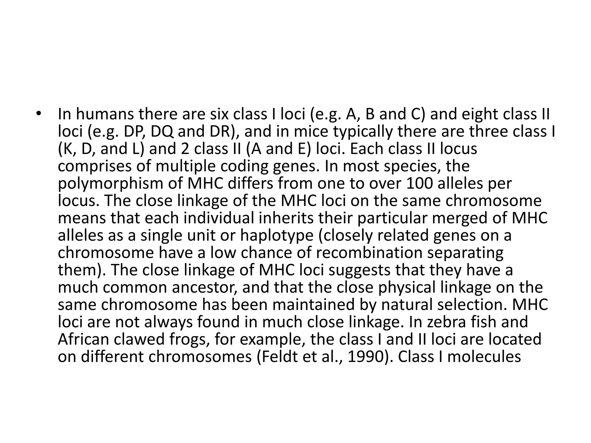 • In humans there are six class I loci (e.g. A, B and C) and eight class II
loci (e.g. DP, DQ and DR), and in mice typically there are three class I
(K, D, and L) and 2 class II (A and E) loci. Each class II locus
comprises of multiple coding genes. In most species, the
polymorphism of MHC differs from one to over 100 alleles per
locus. The close linkage of the MHC loci on the same chromosome
means that each individual inherits their particular merged of MHC
alleles as a single unit or haplotype (closely related genes on a
chromosome have a low chance of recombination separating
them). The close linkage of MHC loci suggests that they have a
much common ancestor, and that the close physical linkage on the
same chromosome has been maintained by natural selection. MHC
loci are not always found in much close linkage. In zebra fish and
African clawed frogs, for example, the class I and II loci are located
on different chromosomes (Feldt et al., 1990). Class I molecules
 