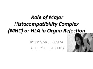 Role of Major
Histocompatibility Complex
(MHC) or HLA in Organ Rejection
BY Dr. S.SREEREMYA
FACULTY OF BIOLOGY
 