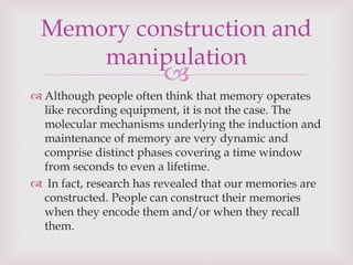 Role of memory in language learning | PPTX