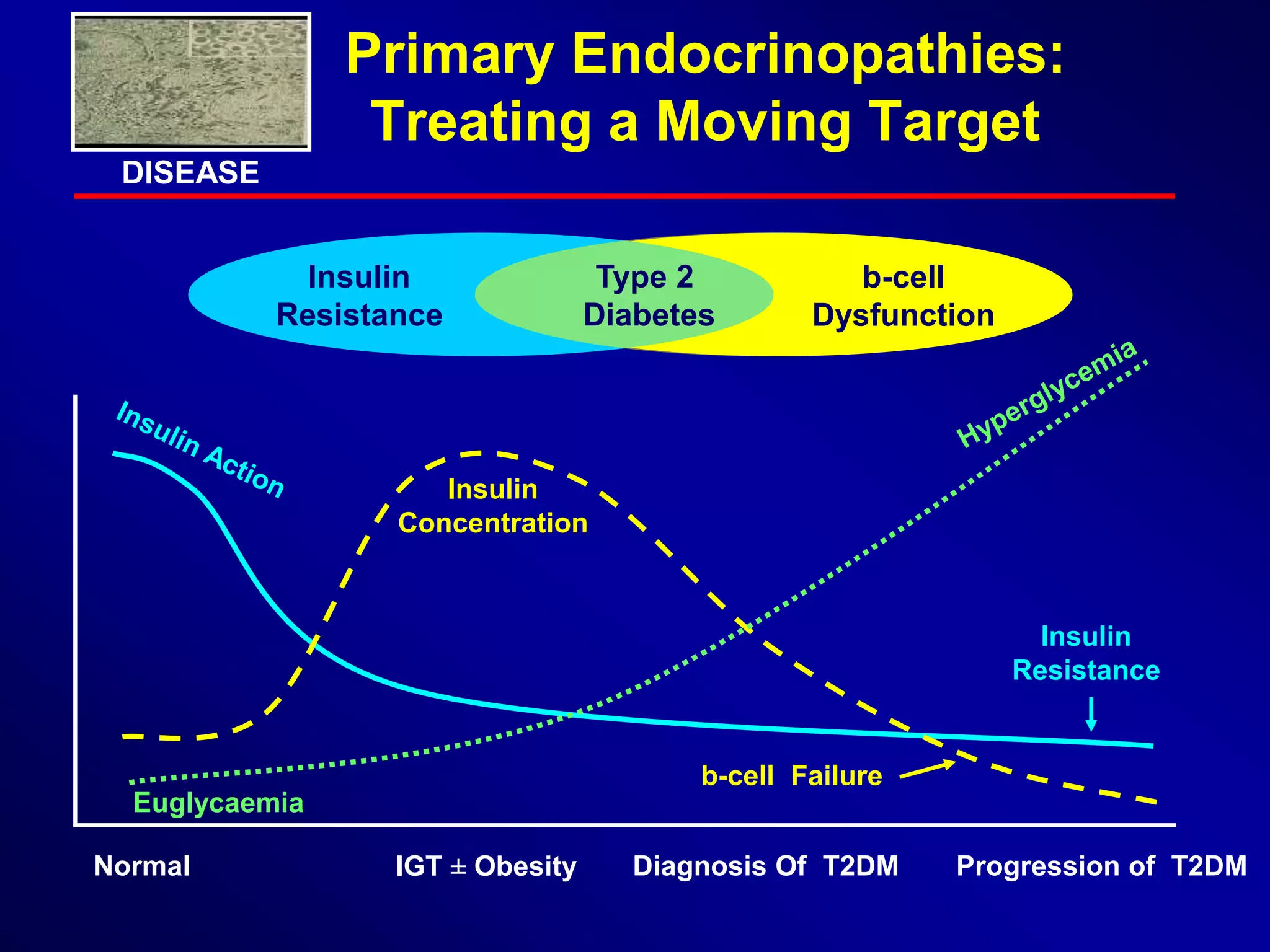 Role of metformin in dm2 & glibenclamide combination | PPTX