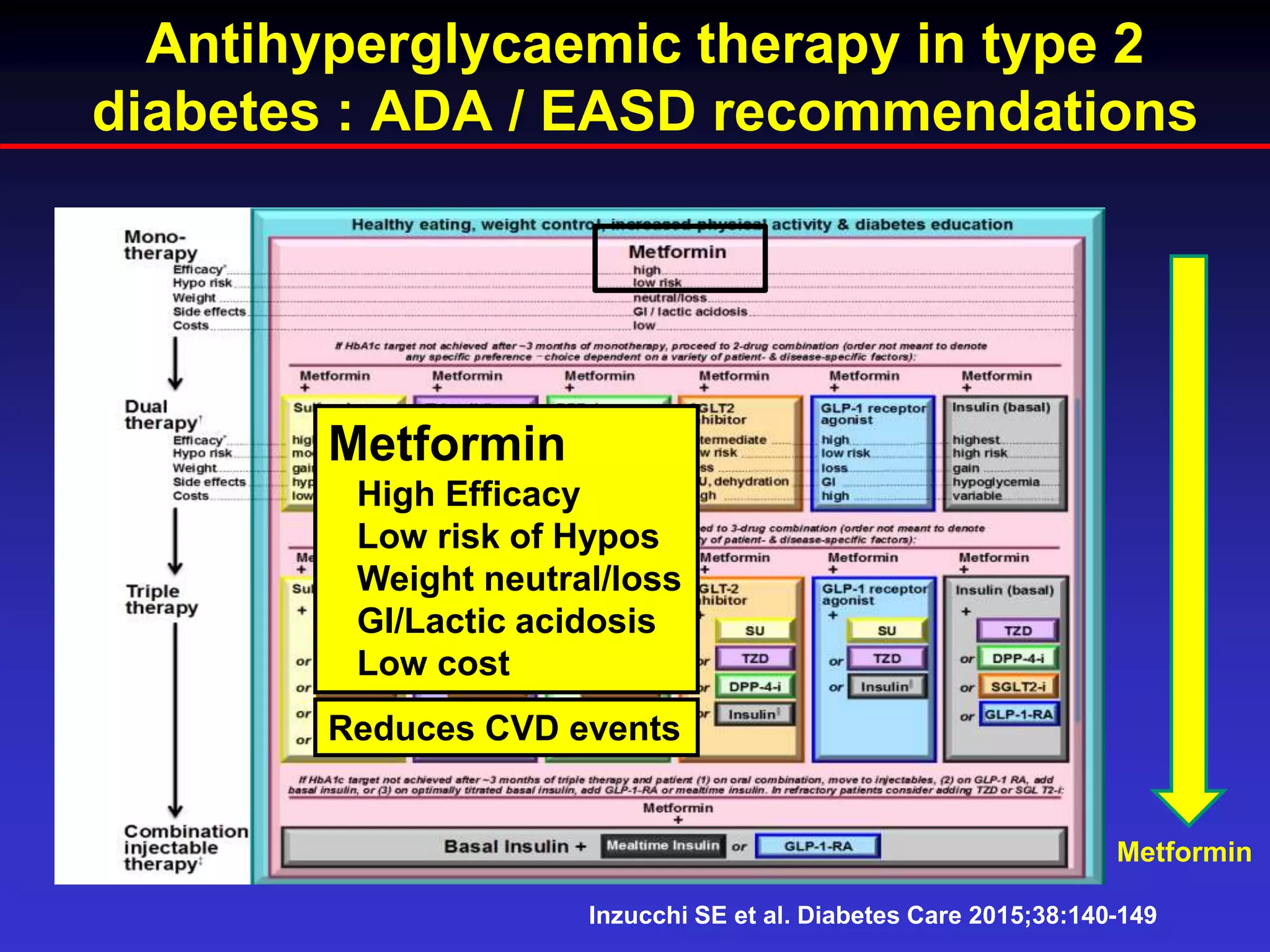 Role of metformin in dm2 & glibenclamide combination | PPTX