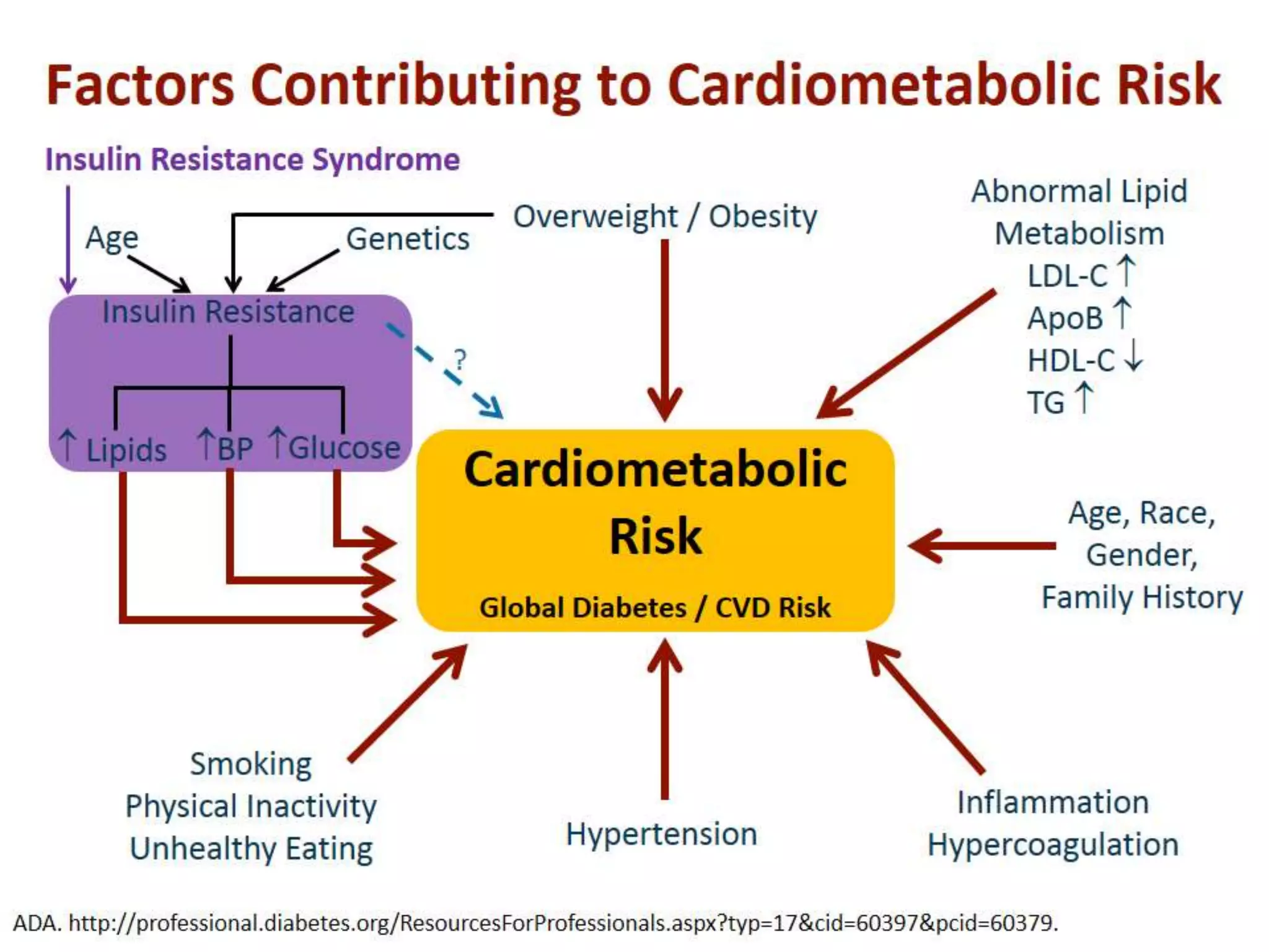 Role of metformin in dm2 & glibenclamide combination | PPTX