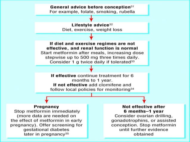 Role of metformin in dm2 & glibenclamide combination | PPTX