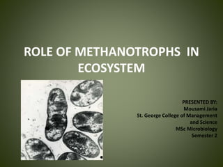 ROLE OF METHANOTROPHS IN
ECOSYSTEM
PRESENTED BY:
Mousami Jaria
St. George College of Management
and Science
MSc Microbiology
Semester 2
 