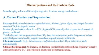 Role of Microbes in Climat Change Mitigation | PPTX
