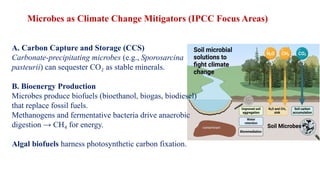 Role of Microbes in Climate Change mitigation 2 | PPTX