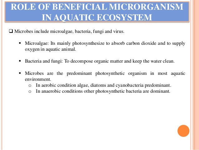 Role Of Microbes In Soil And Water Quality Management In - 