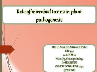 Role of microbial toxins in plant
pathogenesis
MOHD. SHAHID ANWAR ANSARI
GH6955
2016-PPM-10
M.Sc. (Ag.) Plant pathology
(Iv SEMESTER)
COuRSE CODE:- PPM 4074
(SEMINAR)
 