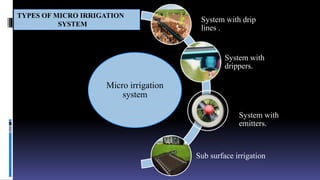 Role of Micro irrigation in Floriculture.pptx