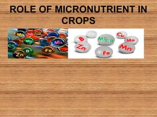 ROLE OF MICRONUTRIENT IN
CROPS
• G
 