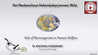 Role of Microorganism in Human Welfare
Shri Shankaracharya MahavidyalayaJunwani, Bhilai
Dr. RACHANA CHOUDHARY
Department of Microbiology
 