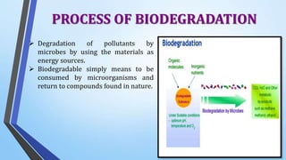 Biodegradation Examples Role of microorganisms in Biodegradation of Organic Waste | PPTX