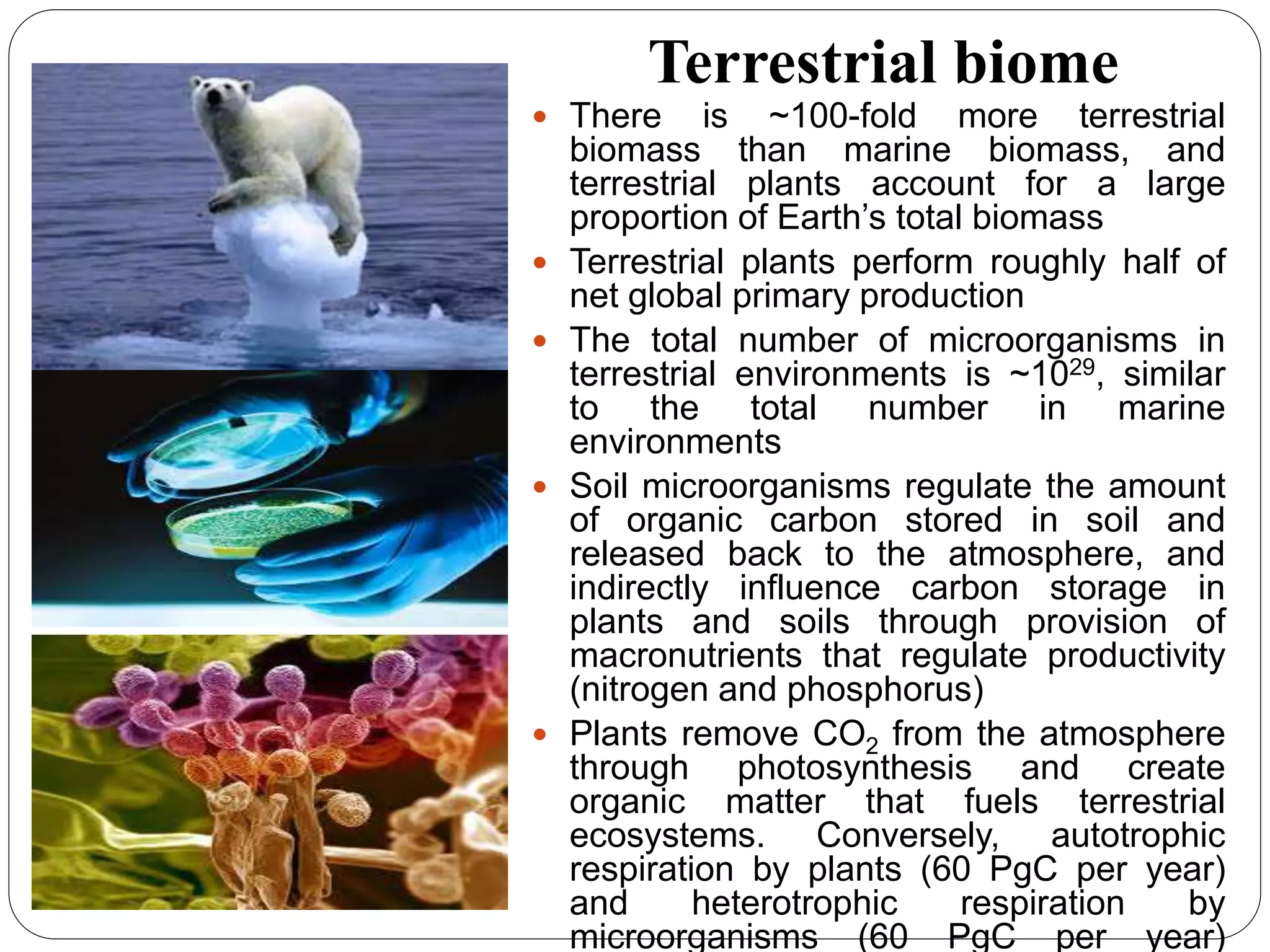 Role of microorganisms in climate change | PPTX