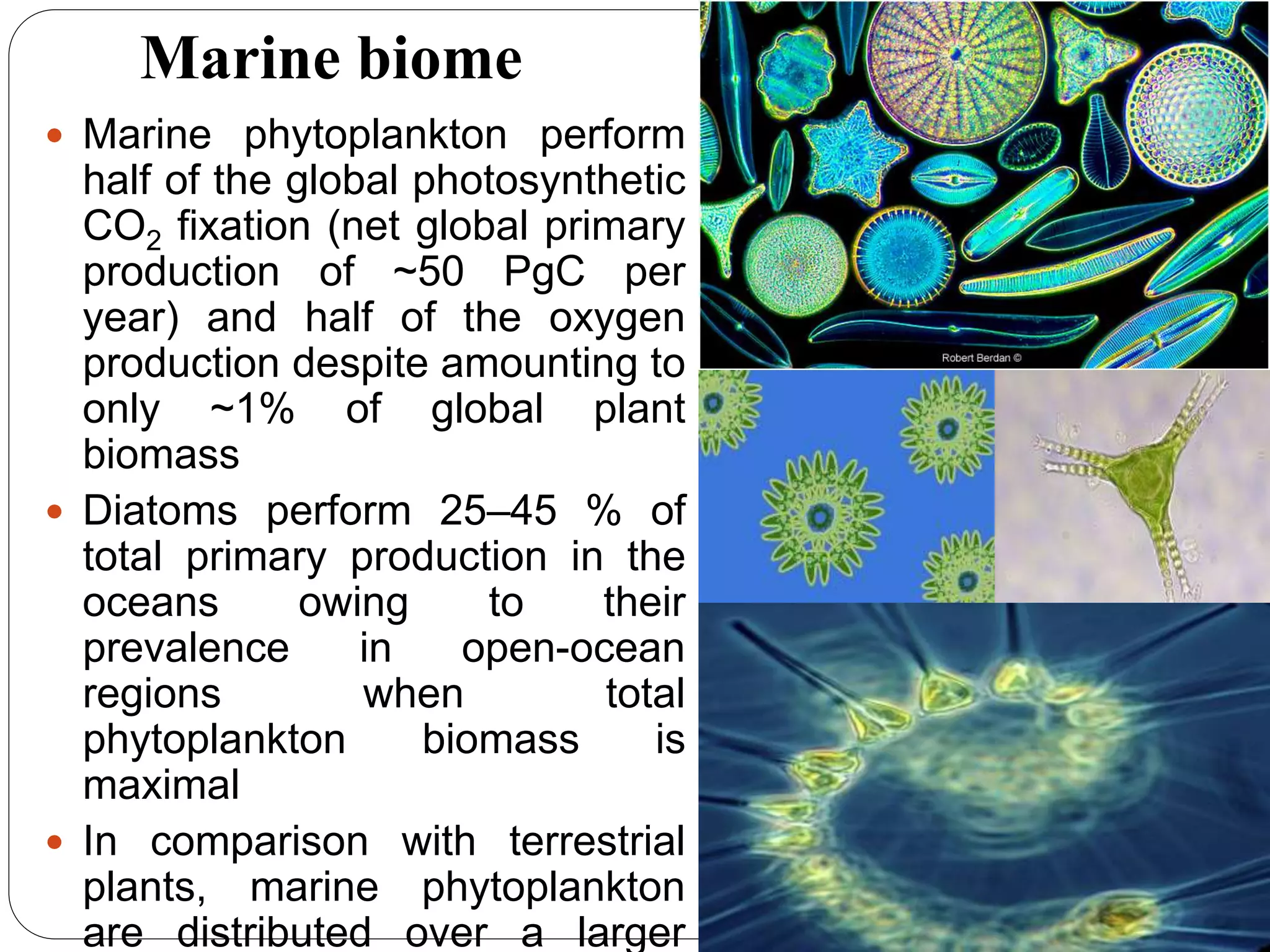 Role of microorganisms in climate change | PPTX