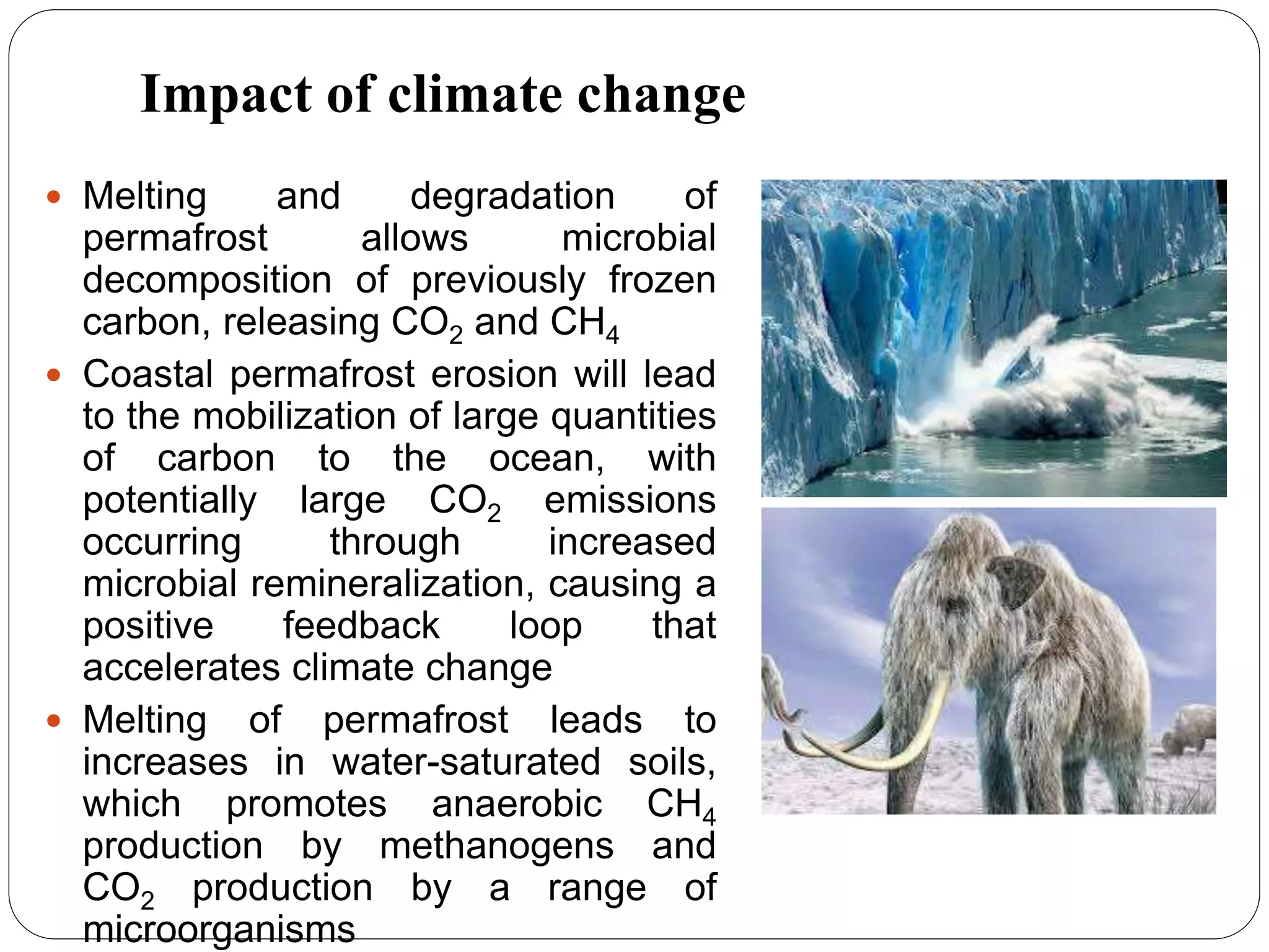 Role of microorganisms in climate change | PPTX