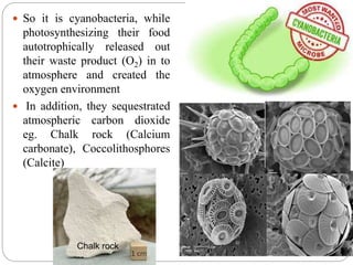 Role of microorganisms in climate change | PPTX