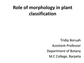 Role of morphology in plant
classification
Tridip Boruah
Assistant Professor
Department of Botany
M.C College, Barpeta
 