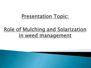 Presentation Topic:
Role of Mulching and Solarization
in weed management
 