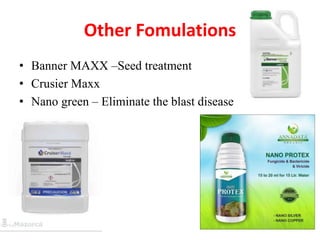 Role of Nano technology in Plant disease management | PPTX