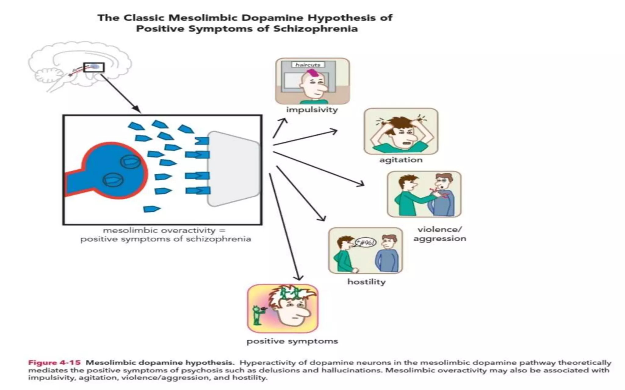 Role of Neurotransmitter Dopamine in Symptoms of Schizophrenia-1.pptx
