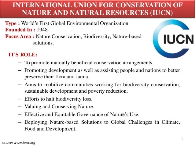 role of ngo essay Ngo's role in government's five year plans ngo's role to protect women's interest ngo's role in educating the farmers, health and education of children, tackling. role of ngo essay Ngo's role in government's five year plans ngo's role to protect women's interest ngo's role in educating the farmers, health and education of children, tackling.