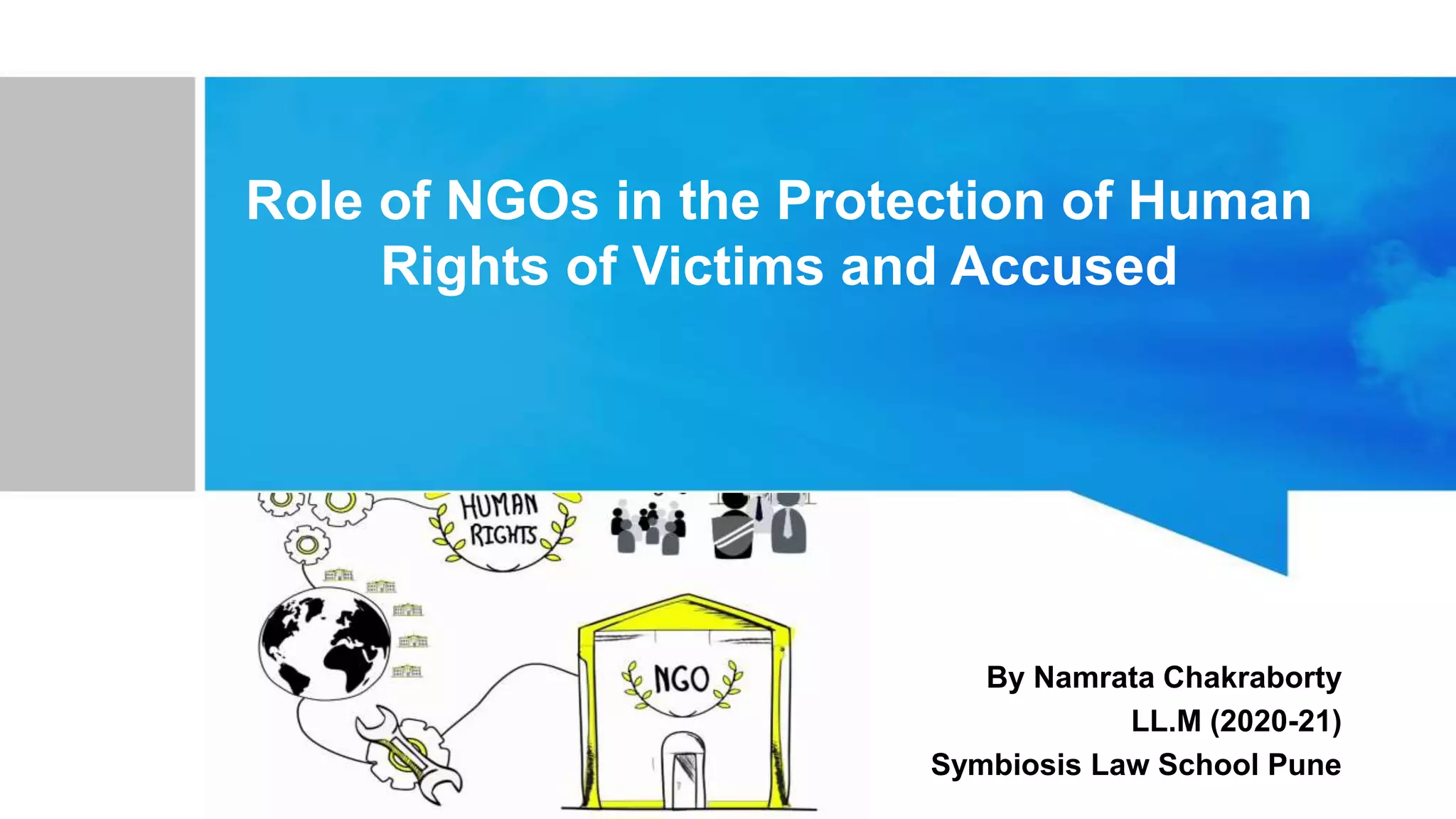 Role of NGOs in the protection of human rights of accused and victims ...
