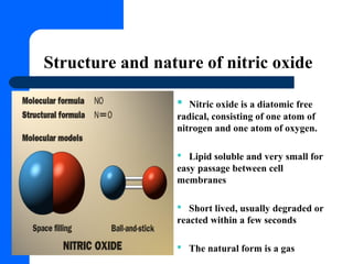 Role of nitric oxide in body | PPT